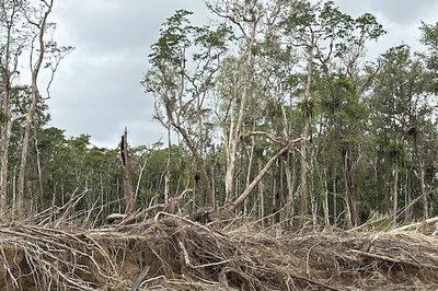 Biomass Change Workshops