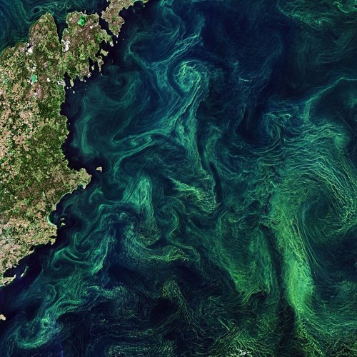 Phytoplankton bloom in the baltic. Uses Copernicus Sentinel-2 data processed by ESA (CC BY-SA 3.0 IGO)